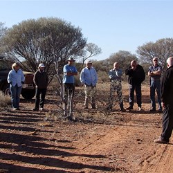 the morning briefing