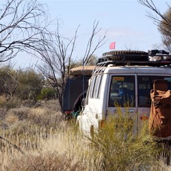 Entering a mulga thicket