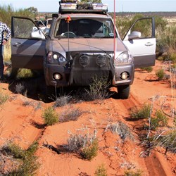 Spinifex cleaning time