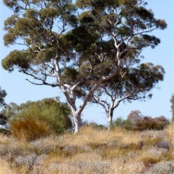 At least the scenery was nice while we waited