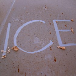 Ice over everything that had either water or dew on it