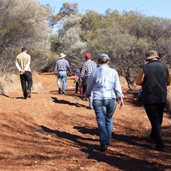Walking Waulfe Creek