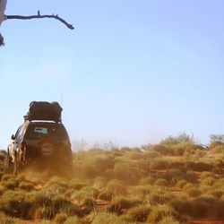 Crossing a spinifex covered dune
