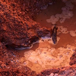 The extent of the water in Henning Tank