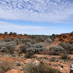 In search of more wonders