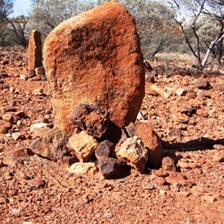 Another of the numerous placings