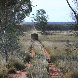 Typical scenery along the cleared line