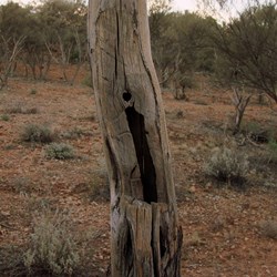 Frank Hann's "H" carving