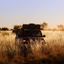 Driving through the spinifex as the sun sinks low on the horizon