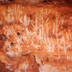 Petroglyphs