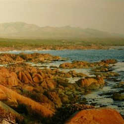 coast near Granville Harbour