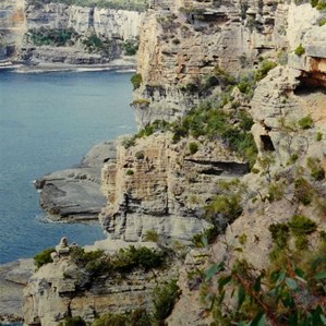 rugged Tasman Peninsular coastline