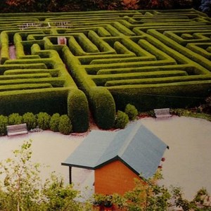 Westbury maze