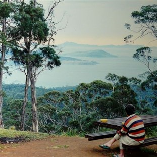 Maria Island from Thumbs Lookout