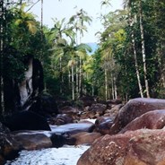 Finch Hatton Gorge