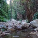 Track into El Questro Gorge