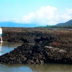 reef at low tide - rather muddy
