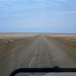 across the treless plains