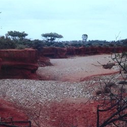 red sand and saltbush country