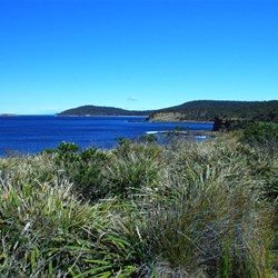 coastline views from Clear Point