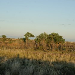 The DTS as seen from a small hill to the north-east.