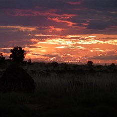 Sunset by the Dragon Tree Soak