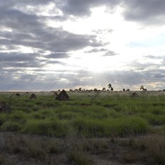 The soak country heading into Dragon Tree Soak