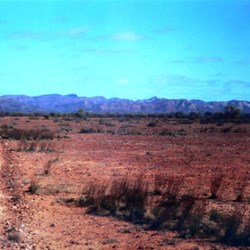 Distant Flinders Ranges