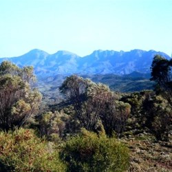 Near Wilpena Pound