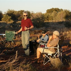 He's such a good host - sunset horses douvers.