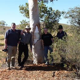 Some likely looking tourists by a Beadell Tree (Mt Forrest in the background)