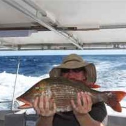 Toni's Sweetlip Emperor!