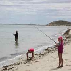 Amy catching Flathead