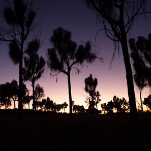 A western Desert Dawn