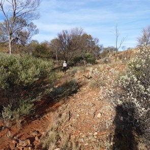 The search for Yindi Rockhole