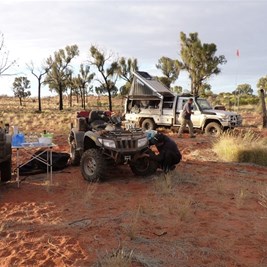 Scotty doing some spinifex proofing on the quad
