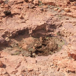Al and quads at the rockhole site