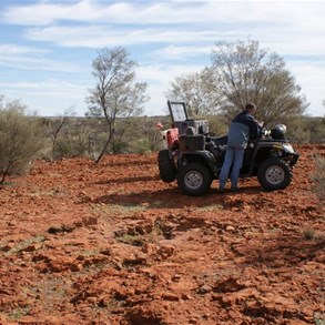 Al and quads at the rockhole site