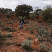 The mysterious stone with bluffs in background