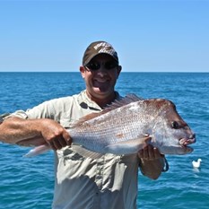 Pink Snapper - Denham