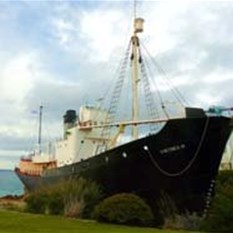 Whale chaser - Cheynes 1V