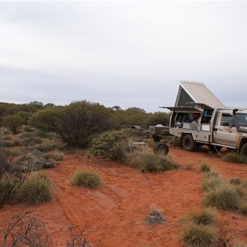 The morning campsite near the Hickey Hills