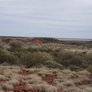 The range upon whose top we camped - Now to decend!
