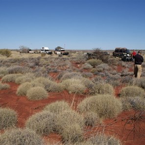 Al's mystery crater - A circular patch of spinifex.