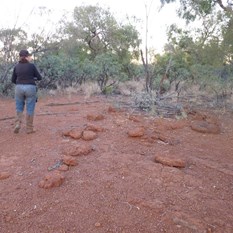The line of stones marking Patience Well