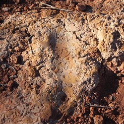 Further signs of past habitation - a grinding groove 