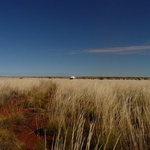 Some High spinifex to contend with.