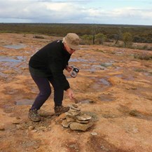 Yet another rock on the plie