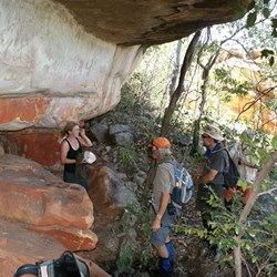 Searching for Bradshaws - Drysdale Escarpment