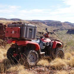 Exploring the Hammersleys on the Quads- July 